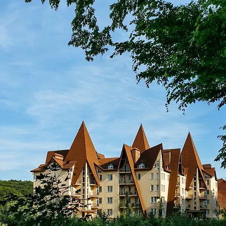 By Derenivska Kupil Apart Otel Nyzhne Solotvyno