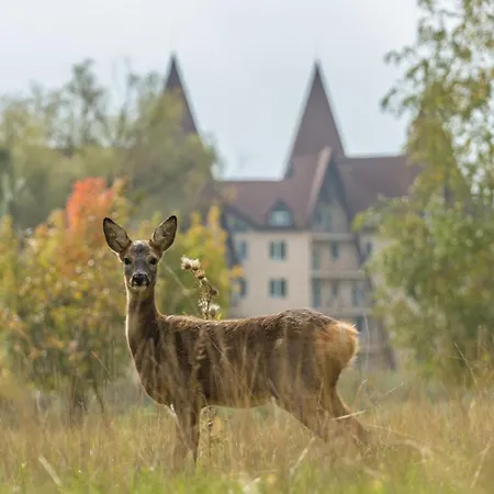 By Derenivska Kupil Hotel apartamentowy