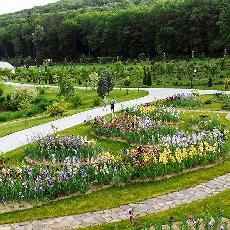 By Derenivska Kupil 4* Niżne Sołotwino