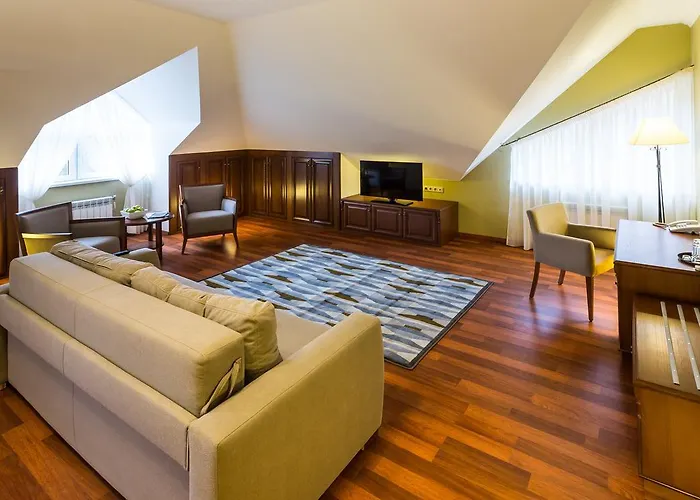 By Derenivska Kupil Apart Otel Nyzhne Solotvyno