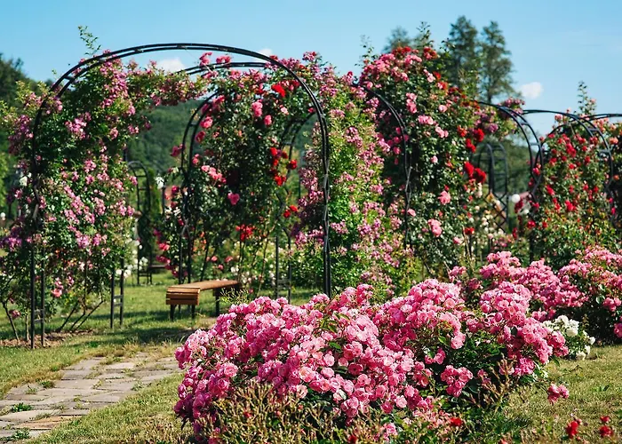 By Derenivska Kupil Nyzhne Solotvyno