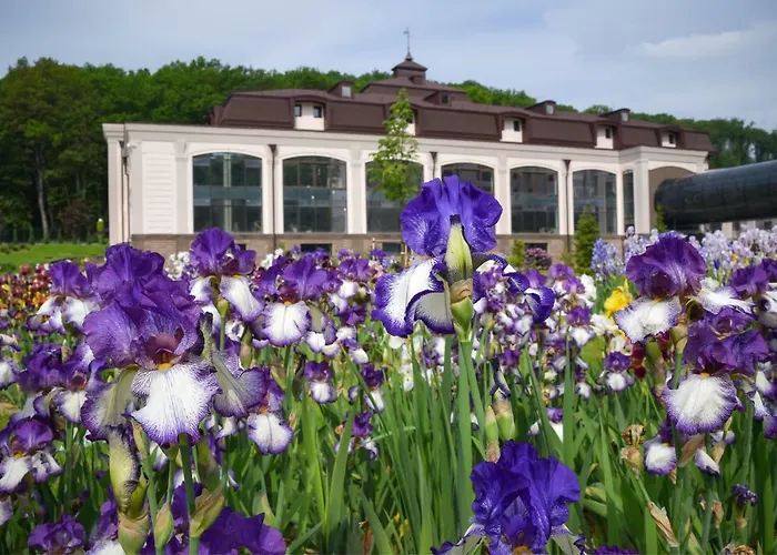 By Derenivska Kupil Apart Otel Nyzhne Solotvyno