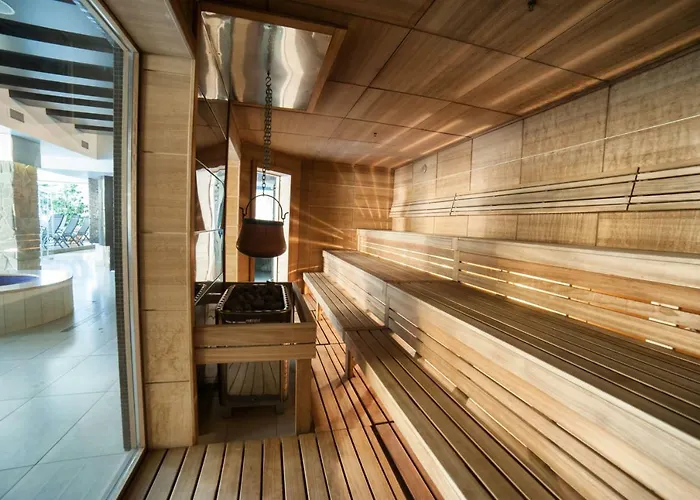 By Derenivska Kupil Apart Otel Nyzhne Solotvyno