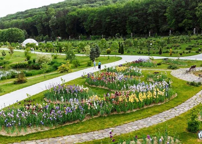 By Derenivska Kupil 4* Nyzhne Solotvyno